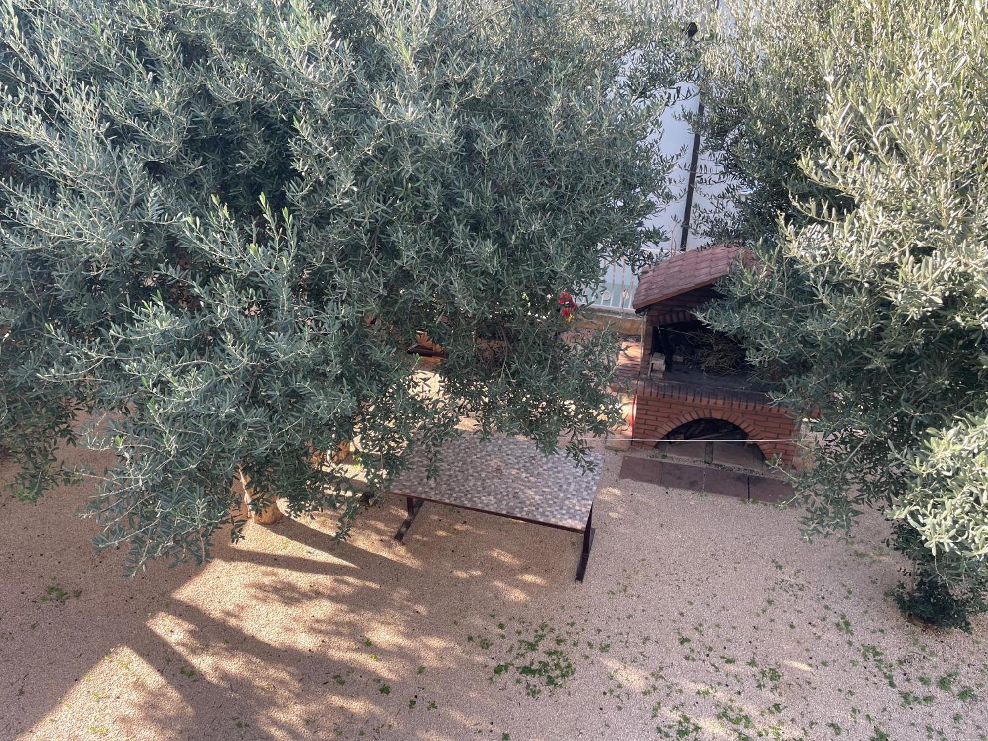 My Home Promajna Εξωτερικό φωτογραφία